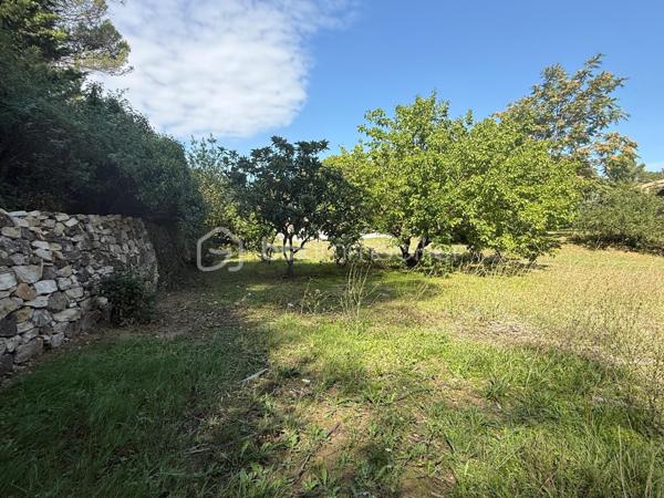 Terrain de 1 077 m²