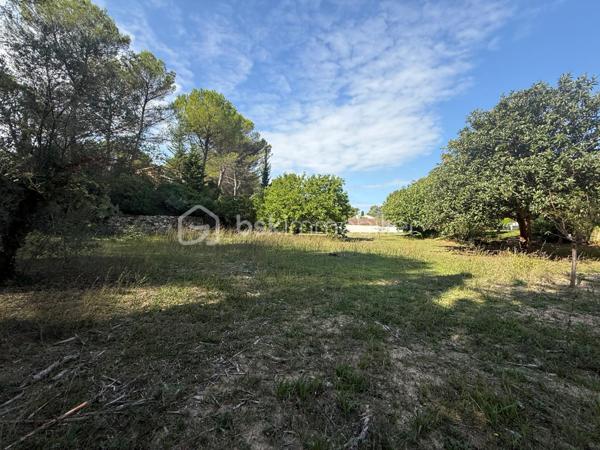 Terrain de 1 077 m²