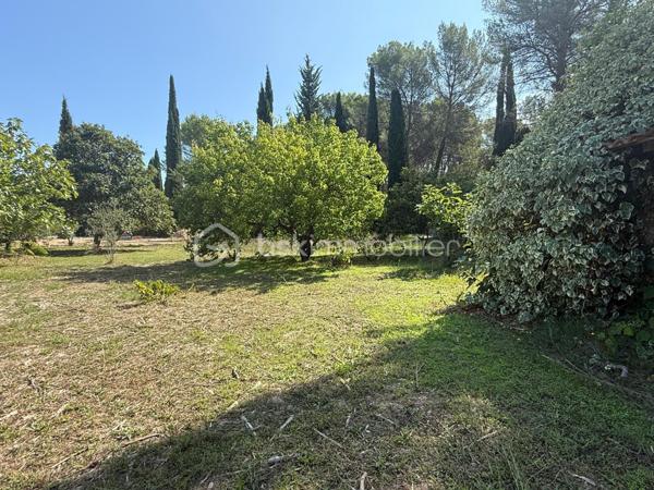 Terrain de 1 077 m²