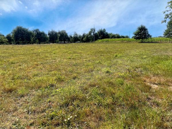 Terrain à vendre à Saint-Fraimbault (61350) - Orne