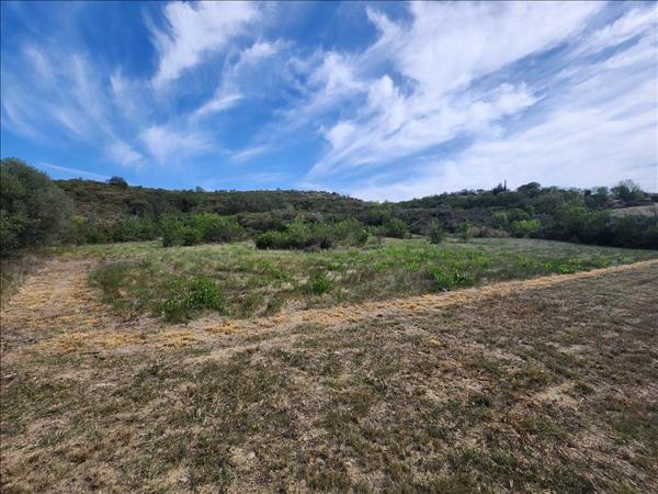 Terrain à vendre |  Roujan |  4250 m²