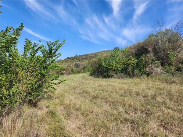 Terrain à vendre |  Roujan |  4250 m²