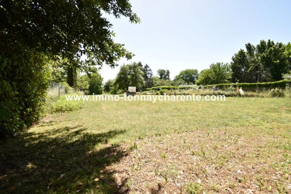 Maison ancienne à rénover sur 2500 m² de terrain
