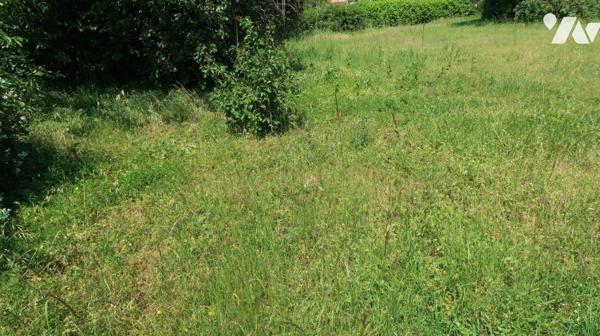 BESSE  - Parcelle de terrain avec chemin d'accès commun,
Surface constructible 400m2
Façades ...