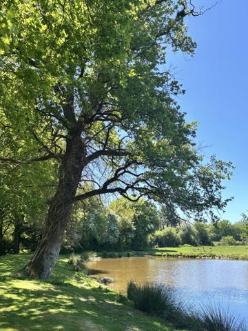 ETANG avec chalet et dependances