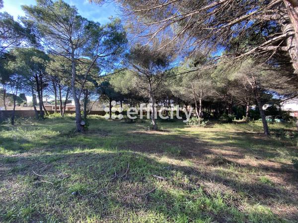 Terrain - 1101 m²