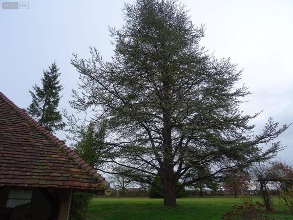 Maison à vendre à Saint-Martin-de-Lamps dans l'Indre (36110), ref : 36019/815