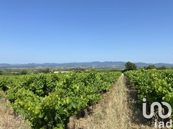 Terrain à vendre 58 175 m² Magalas