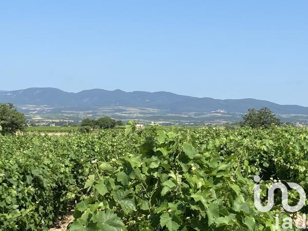 Terrain à vendre 58 175 m² Magalas