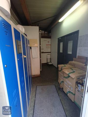 Local professionnel à louer 350m²