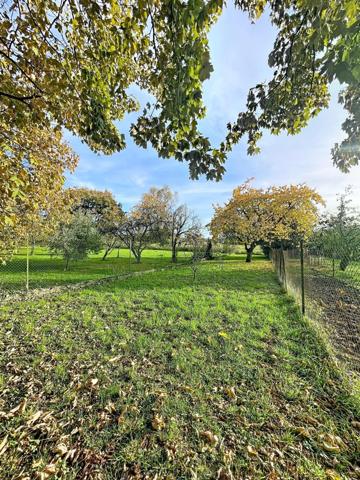 Maison 88 m² – 3 chambres – Patio – Terrain
