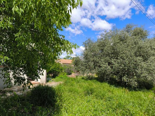 Lézignan Corbières maison  familiale 4 faces /  900 m²