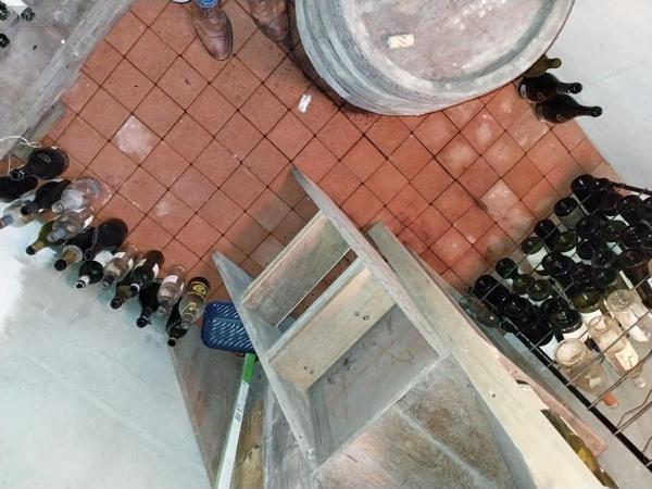 Maison à vendre à Saint-Avé dans le Morbihan (56890), ref : 56003-1344