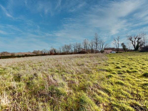 TERRAIN PLAT VIABILISÉ – 1 470 m² – MIRANDE