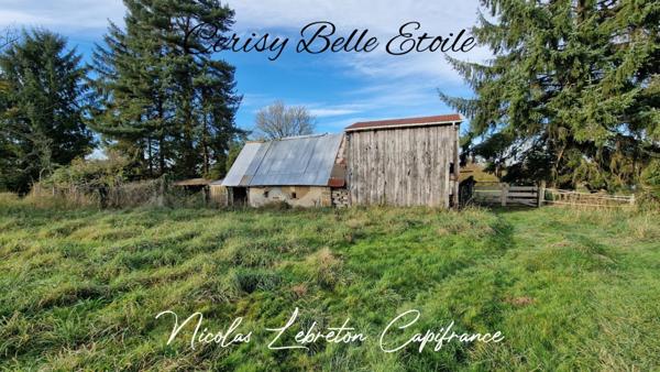 Exclsusivité Capifrance - Cerisy Belle Etoile - 1,18 hectare