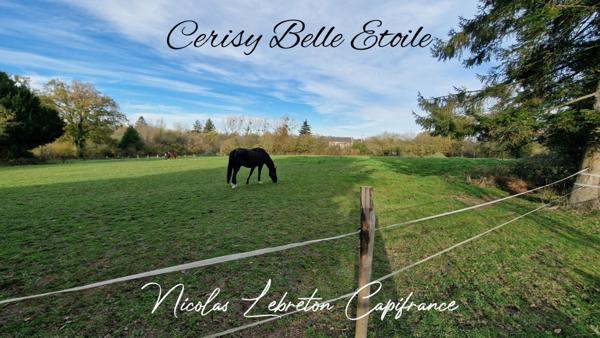Exclsusivité Capifrance - Cerisy Belle Etoile - 1,18 hectare