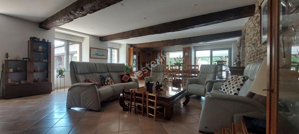 Maison PIRÉ-CHANCÉ 9 pièces 250 m²  sur 2 hectares au pied du bourg