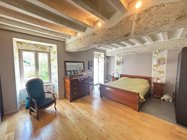 Maison PIRÉ-CHANCÉ 9 pièces 250 m²  sur 2 hectares au pied du bourg