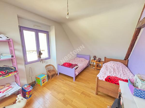 Maison PIRÉ-CHANCÉ 9 pièces 250 m²  sur 2 hectares au pied du bourg