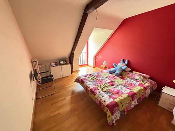 Maison PIRÉ-CHANCÉ 9 pièces 250 m²  sur 2 hectares au pied du bourg