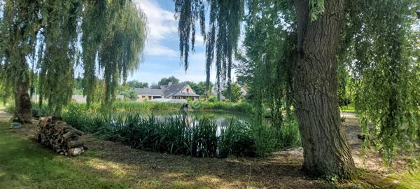 Maison PIRÉ-CHANCÉ 9 pièces 250 m²  sur 2 hectares au pied du bourg
