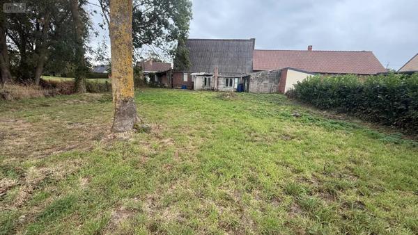 Achat - Maison | Maison à restaurer Wallon-Cappel 59190 4 pièces 90 m 2 1495 m 2