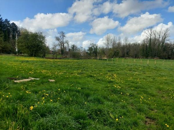 Terrain Constructible Arras 11 a 66 ca