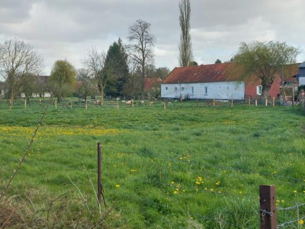 Terrain Constructible Arras 11 a 66 ca