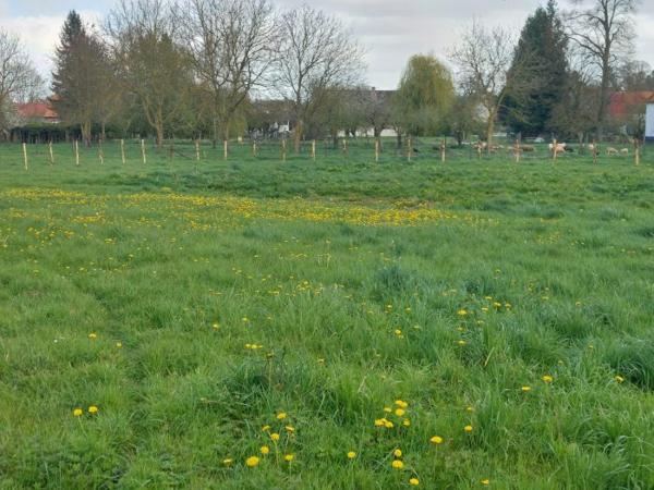 Terrain Constructible Arras 11 a 66 ca