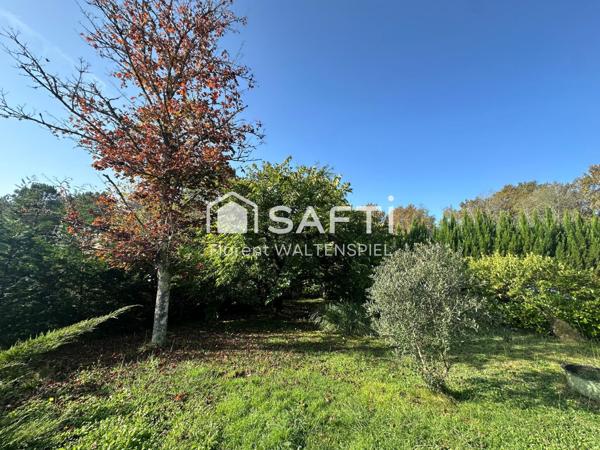 Charmante maison spacieuse 5 pièces de 188m2 avec parc arboré