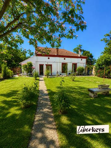 Maison familiale T5 de plain-pied rénovée avec garage et jardin