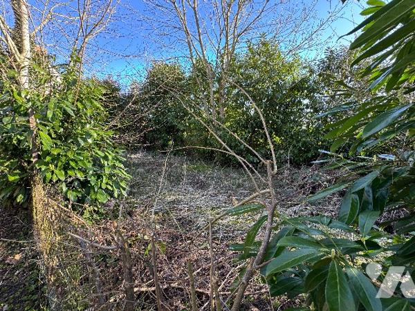 Maison avec commerce au rez-de-chaussée (157m²) à rénover