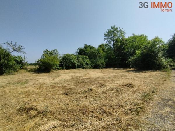 Vente / Terrain constructible