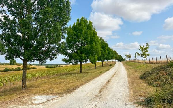 Maison à vendre    19 pièces •  Lectoure
