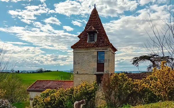 Maison à vendre    19 pièces •  Lectoure