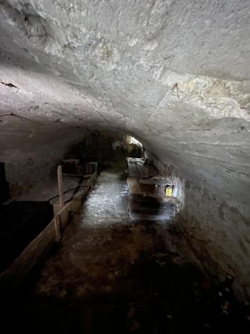 Joli potentiel pour cette ancienne propriété avec dépendances
