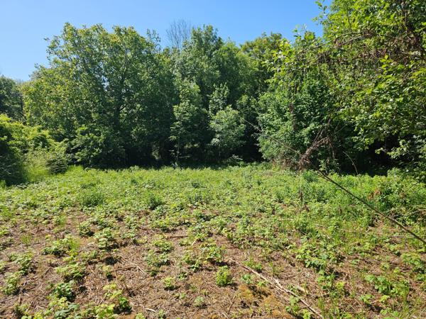 Terrain à bâtir 1134 m² proche Longueville