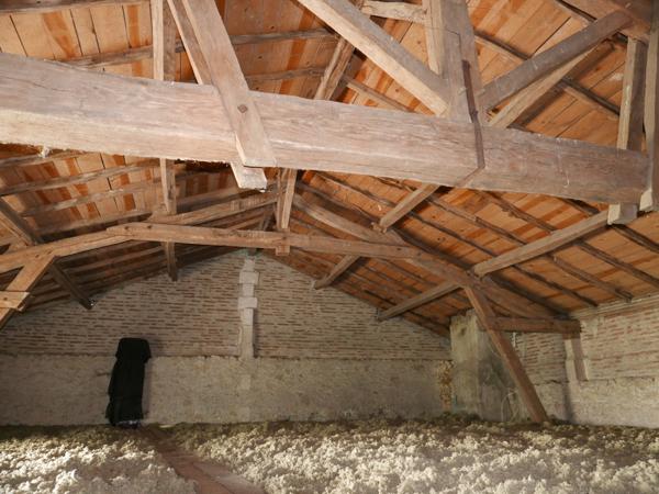 Saint-Étienne-de-Puycorbier (24400) Pour les amoureux de la nature !