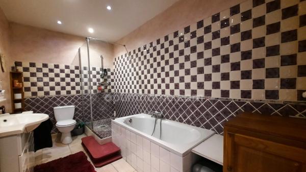 CHATEAUNEUF LES MARTIGUES : Maison 267m² + piscine + locaux d'activités professionnelles 280m²