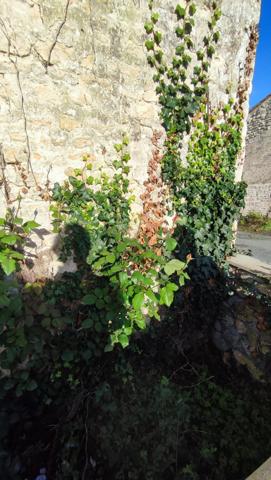 Maison Atypique Thaire à Finir de rénover