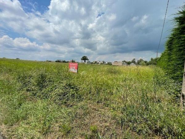 Terrain à NOYEN-SUR-SARTHE, 72430 - 8780m²