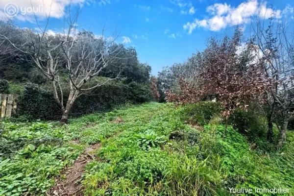 Villa de 131 m² au Cœur du Vignoble de Patrimonio à Barbaggio