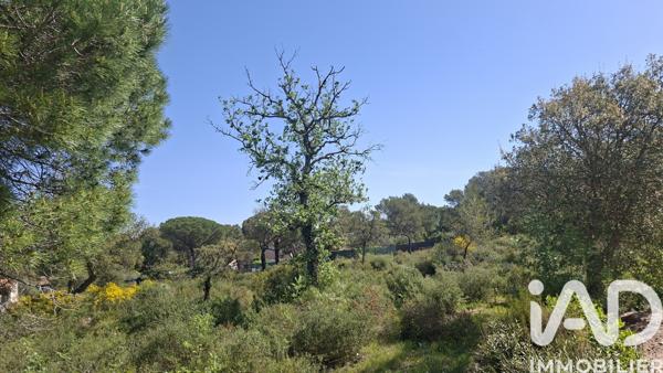 Terrain à vendre 876 m² Le Cannet-des-Maures