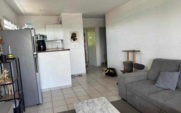 Appartement à vendre    2 pièces • 35,73 m2 Les Abymes