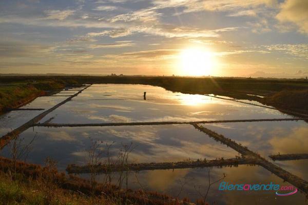 Votre Maison Familliale ou villégiature à Guérande