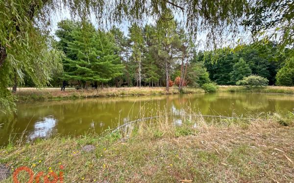 Maison à vendre    5 pièces •  Romorantin-Lanthenay