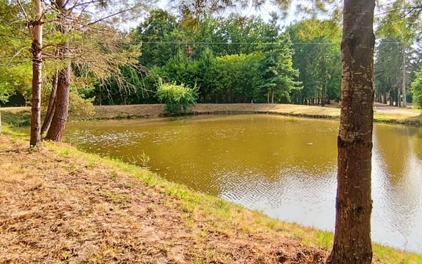 Maison à vendre    5 pièces •  Romorantin-Lanthenay