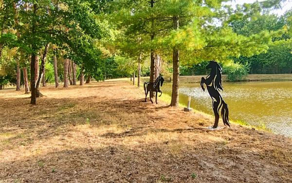 Maison à vendre    5 pièces •  Romorantin-Lanthenay