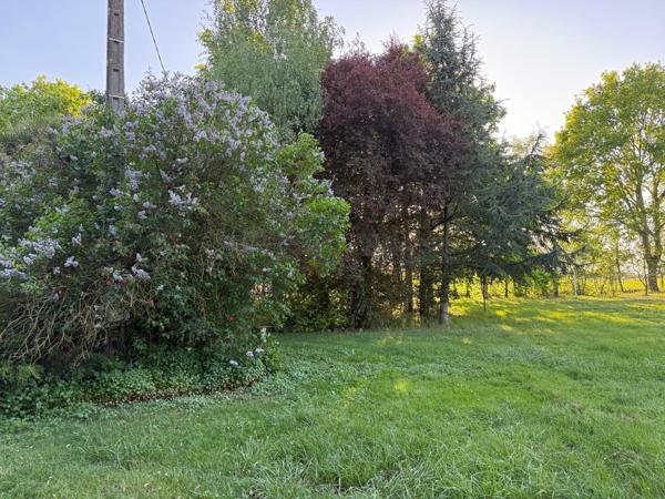 Ce beau terrain arboré, avec une borne électrique et de l'eau.