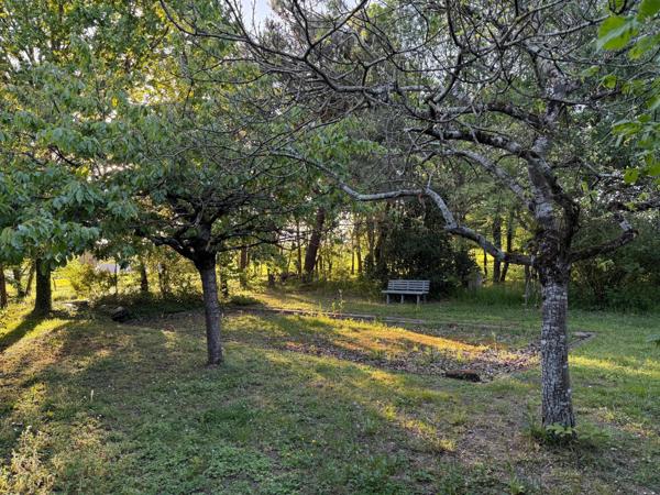 Ce beau terrain arboré, avec une borne électrique et de l'eau.